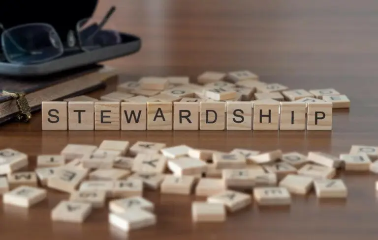 Making sense of financial stewardship with letter blocks